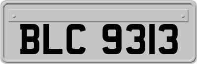 BLC9313