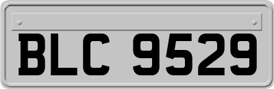 BLC9529