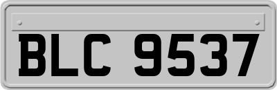 BLC9537