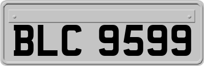 BLC9599