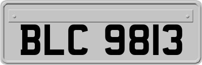BLC9813