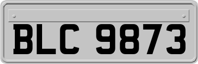 BLC9873