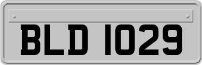 BLD1029