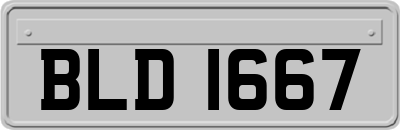 BLD1667