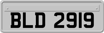 BLD2919