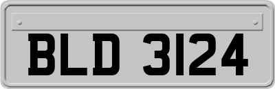 BLD3124