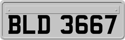 BLD3667