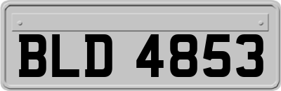 BLD4853