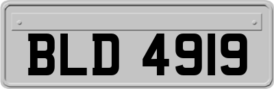 BLD4919