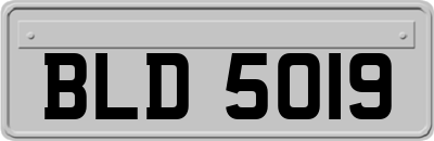 BLD5019