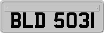 BLD5031