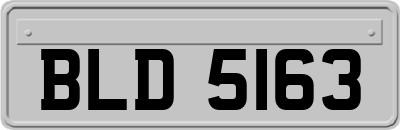 BLD5163