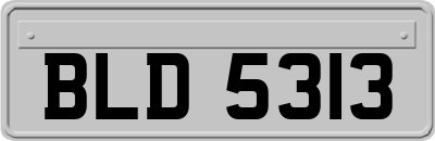 BLD5313