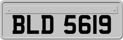 BLD5619