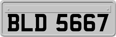 BLD5667