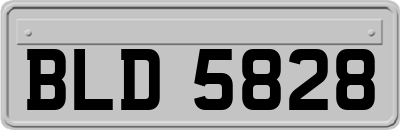 BLD5828