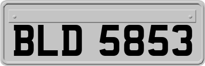BLD5853