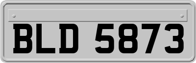 BLD5873