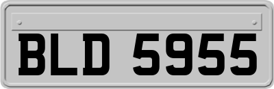 BLD5955