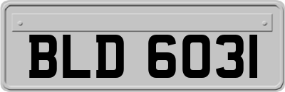 BLD6031