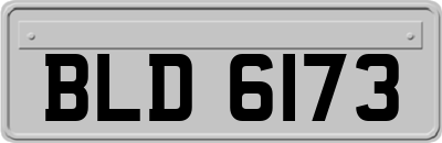 BLD6173