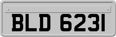 BLD6231