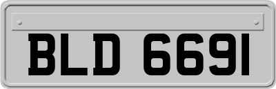 BLD6691