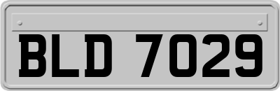 BLD7029