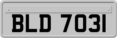 BLD7031