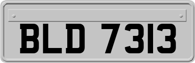 BLD7313