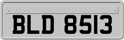 BLD8513