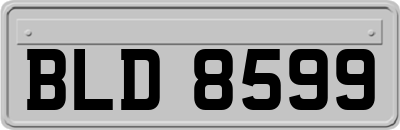 BLD8599