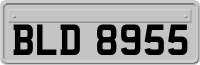 BLD8955