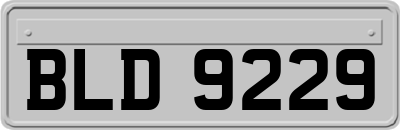BLD9229