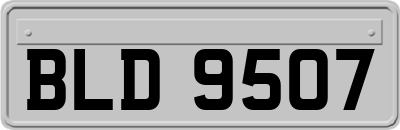 BLD9507