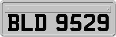BLD9529