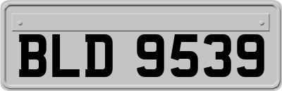 BLD9539