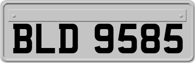BLD9585