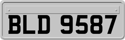 BLD9587