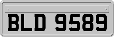 BLD9589