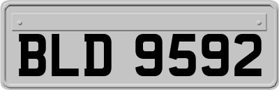 BLD9592