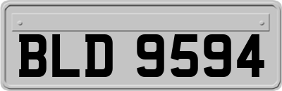 BLD9594