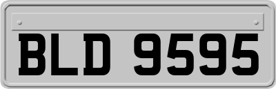BLD9595