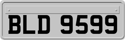 BLD9599