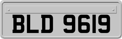 BLD9619