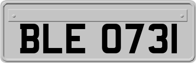 BLE0731