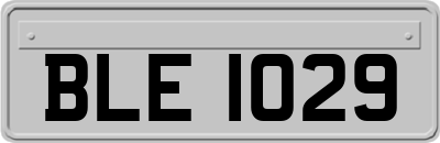 BLE1029