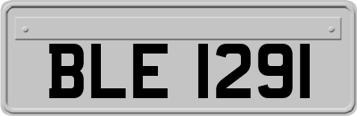BLE1291