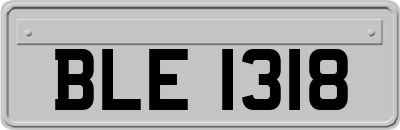 BLE1318