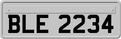 BLE2234